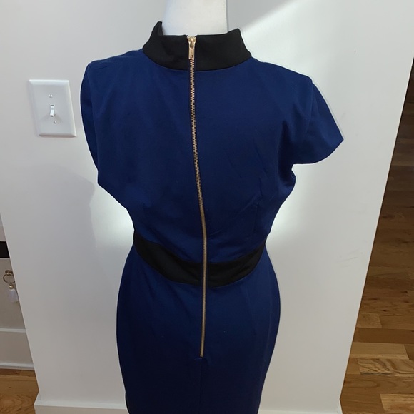 NWOT ALEXIA ADMOR Marielle Colorblock Sheath Dress - Picture 8 of 9